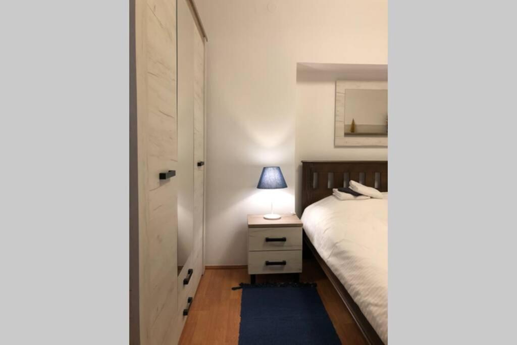 Apartment Balkanska Center *